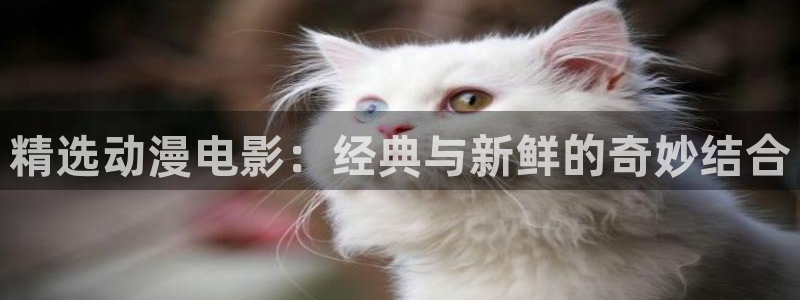 羞羞动漫樱花动漫：精选动漫电影：经典与新鲜的奇妙结合